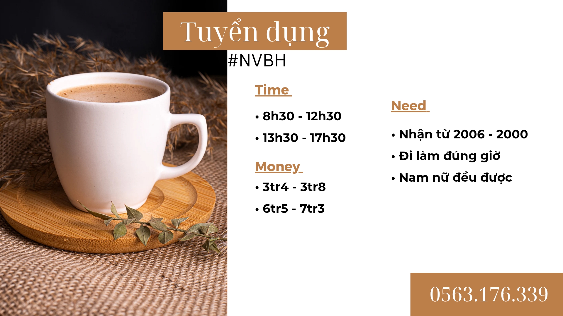 lĩnh vực hoạt động
